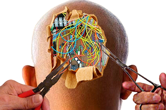 Rewiring the Brain